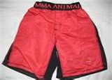 MMA ANIMAL